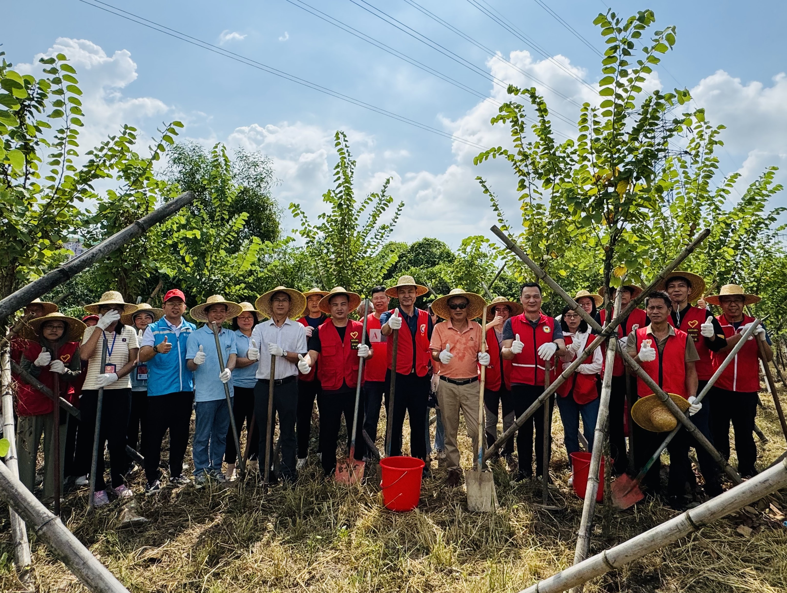 Zhuhai_Forest_Cultivation