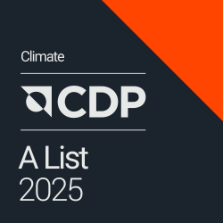 CDP A LIST
