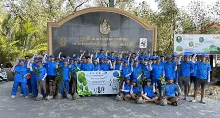Mangrove Planting